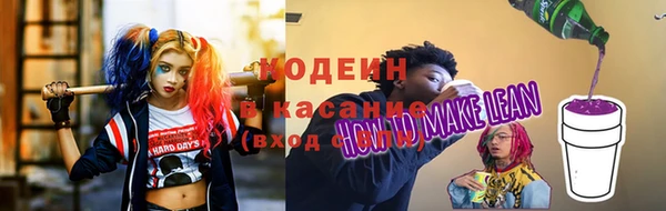 дживик Снежинск